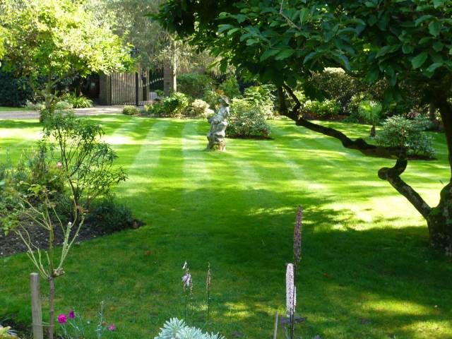 Garden maintenance Surrey
