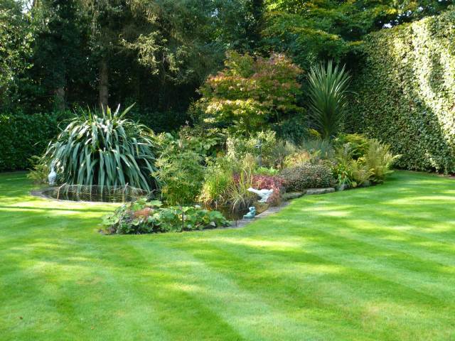 Garden maintenance in Surrey