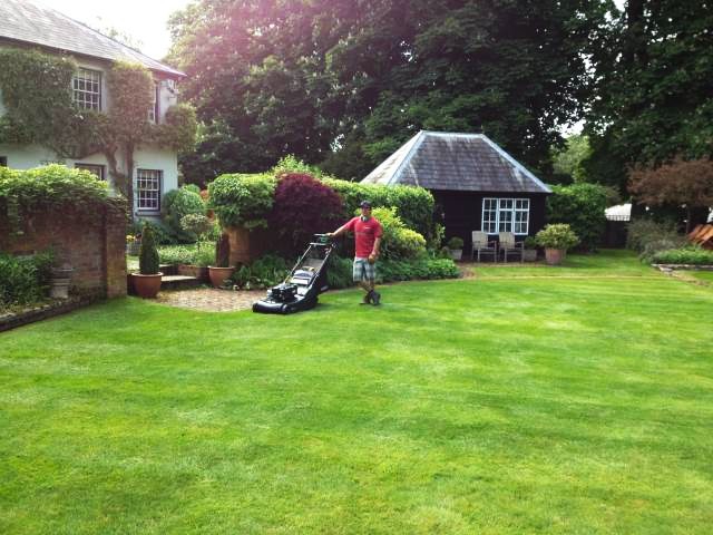 Lawn mowing in Surrey