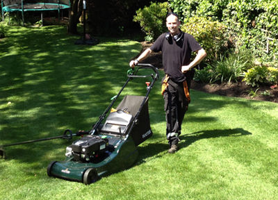 Garden Maintenance in Epsom