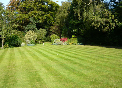 Lawnmowing in Leatherhead