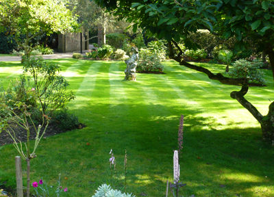 Garden Maintenance in Leatherhead