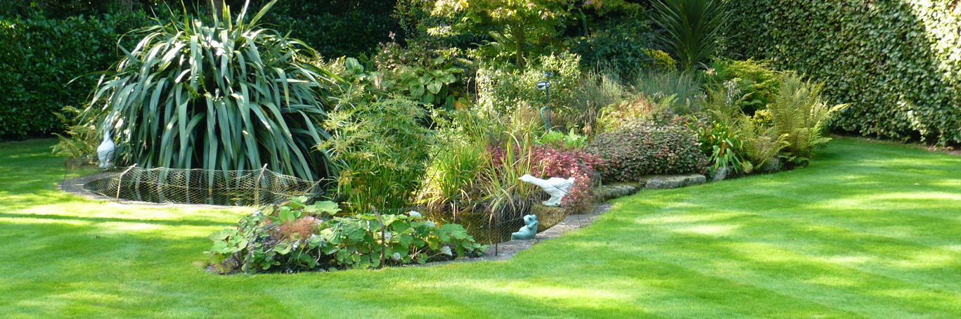 Gardening services in Epsom