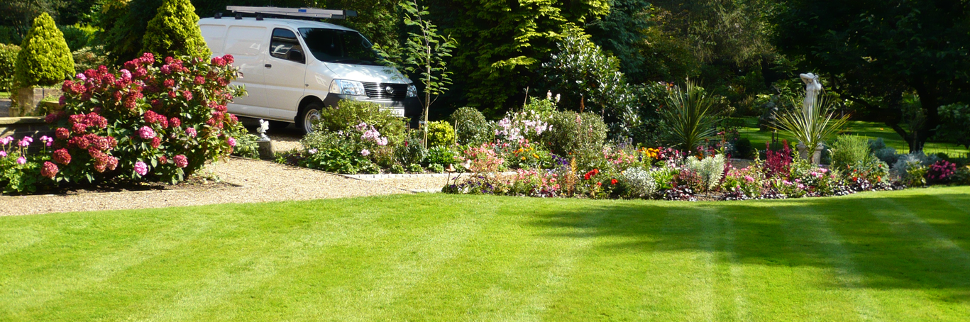 Gardening services in Leatherhead