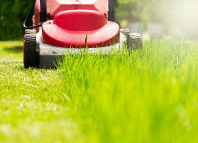 lawn-mowing-maintenance